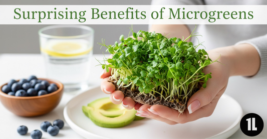 The Surprising Benefits of Microgreens You Probably Didn’t Know About