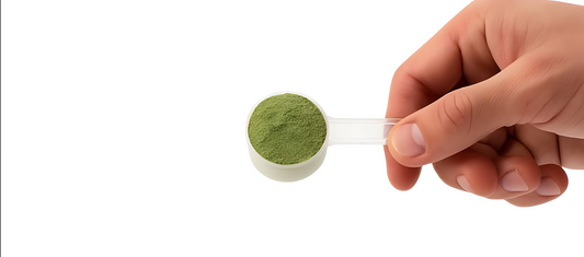 How 1st Leaf Is Made: A Freeze-Dried Microgreens Supplement